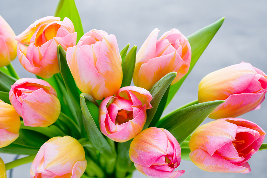 Schöne Blumensträuße kaufen Büdelsdorf