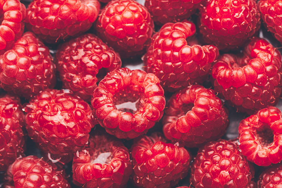 Himbeeren vom Himbeerhof Steinwehr Himbeeren vom Himbeerhof Steinwehr